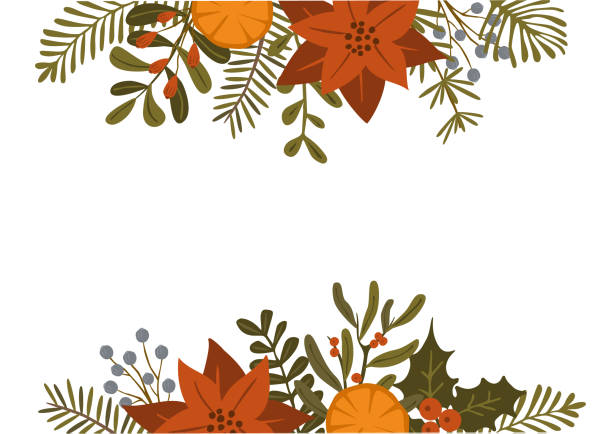 メリー クリスマス冬葉植物、ポインセチアの花葉枝、赤い果実のヘッダーおよび枠線テンプレート分離ベクトル イラスト クリスマス背景 - twig decoration orange blue点のイラスト素材／クリップアート素材／マンガ素材／アイコン素材