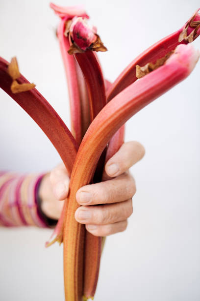 Rhubarb sticks.
