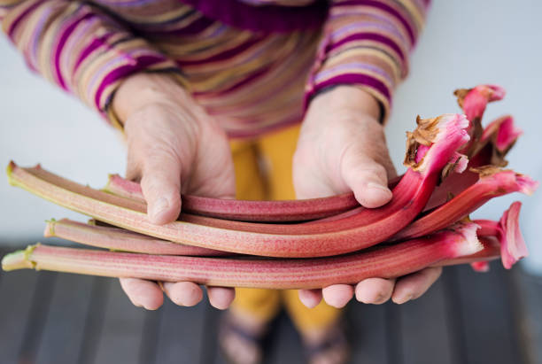 Rhubarb sticks.