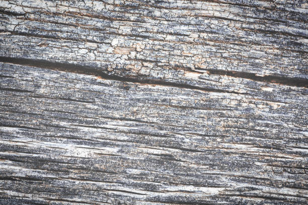 istock old wooden board, background 1069945626