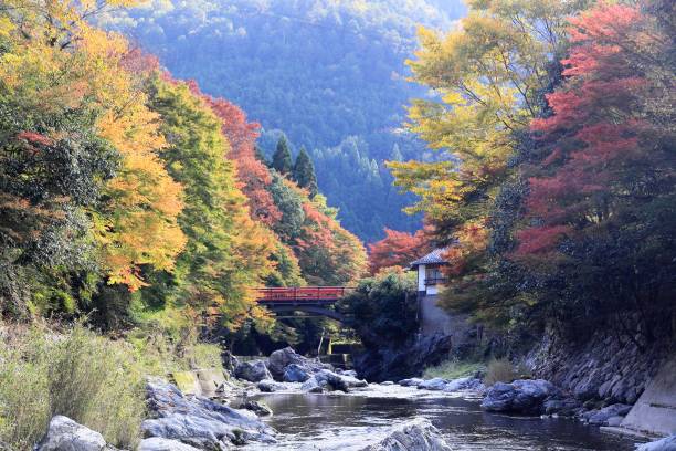 istock The autumn leaves in Kyoto 1069946192