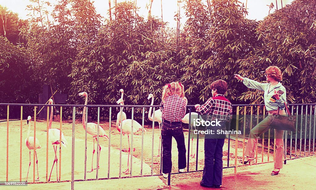 Vintage family day at the zoo - Royalty-free Estilo retro Foto de stock