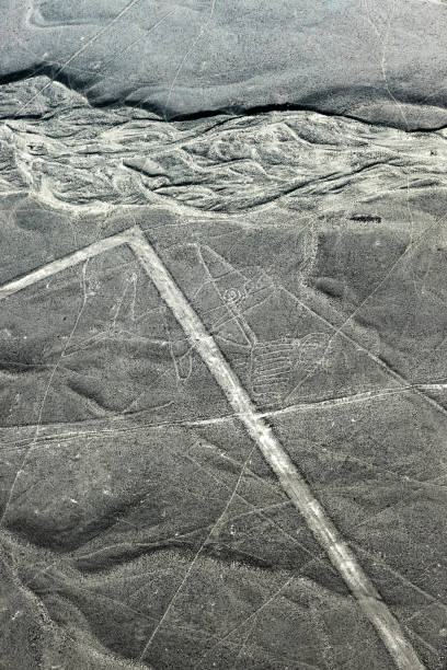 istock whale drawing in Nazca desert 1069953050