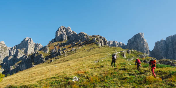 istock Hikers team on mountain trail 1069955300