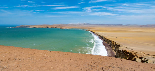 istock Paracas National Reserve 1069956842