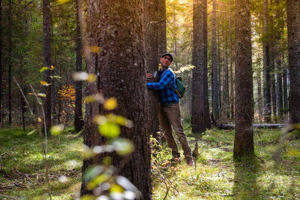 istock Young Adult Man Hugging the Beautiful Forest and its trees 1069958430