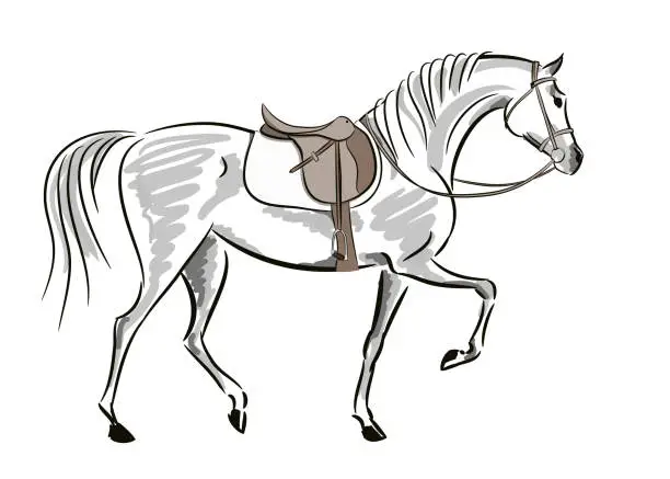 Vector illustration of Beautiful horse in motion with saddle and bridle. English equestrian sport fox hunting autumn style.