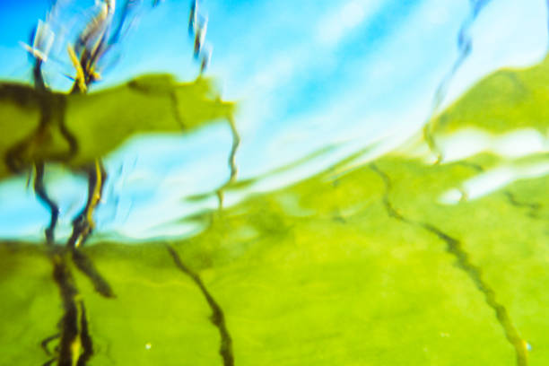 Water surface from below, Water, Underwater, Water, Sea, Lake, Backgrounds