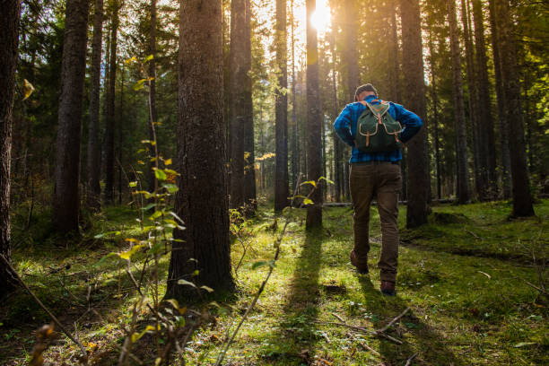istock Young Adult Man Hiking In Beautiful Forest 1069959096