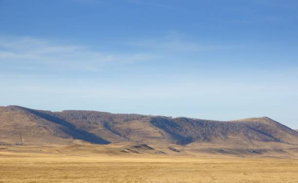 istock Autumn landscape with smooth hills covered with dry yellow grass under blue sky 1069962498