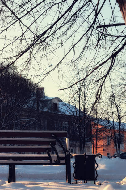 istock Winter Park bench Alley 1069962736