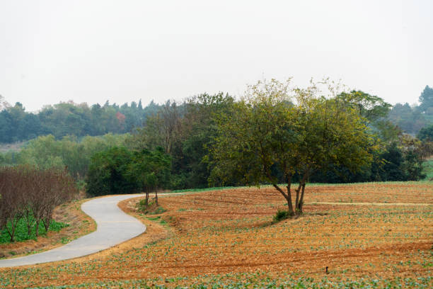 winding country road