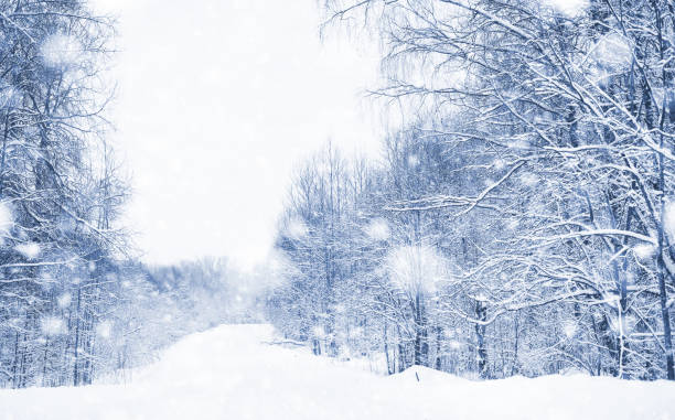 istock Landscape in the winter day 1069968184