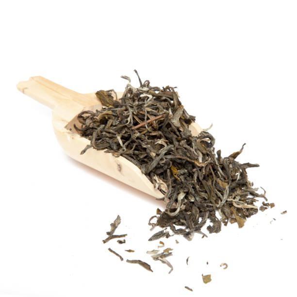 istock White Tea Plant Dried Tea Leaves 1069968352