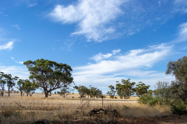 istock Arid and desertic landscape of Perth outback 1069970860