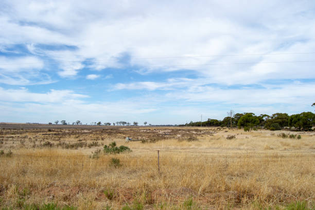 istock Arid and desertic landscape of australia outback 1069971948