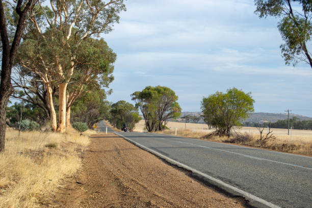 istock Arid and desertic landscape of Perth outback 1069972374