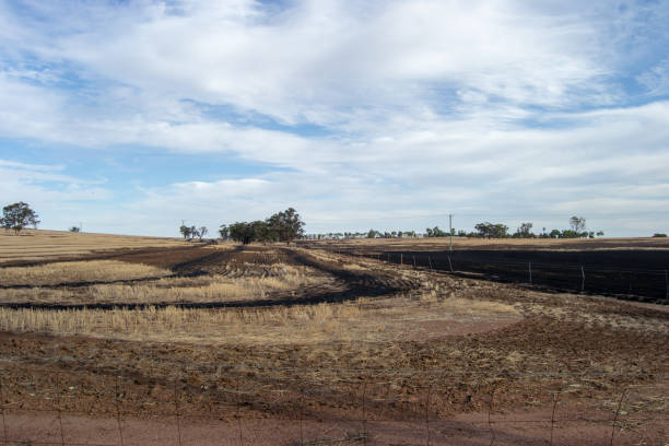 istock Arid and desertic landscape of Perth outback 1069972458