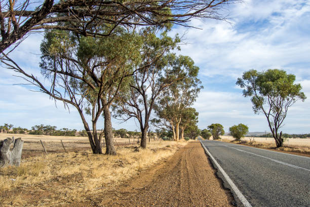istock Arid and desertic landscape of Perth outback 1069974364