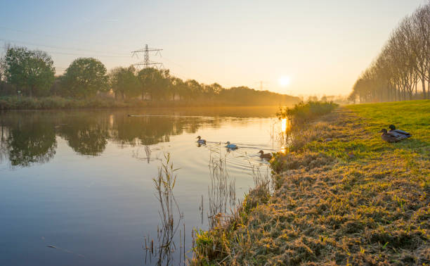 Sunset over the shore of a river along trees at fall
