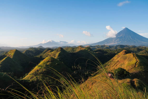 A wide-view shot of the chocolate hills landscape, grassy hills can be seen as well as a mountain in the distance, followed by a clear blue sky.