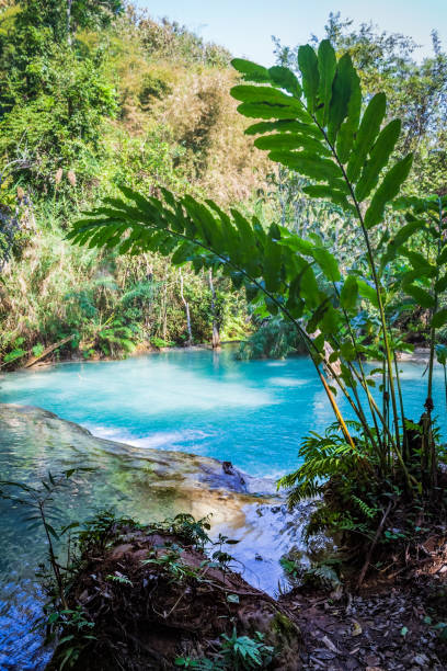 istock Kuang Si waterfalls in Luang Prabang, Laos 1069985304