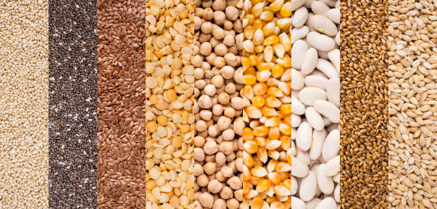 Lines with different types of grains on white