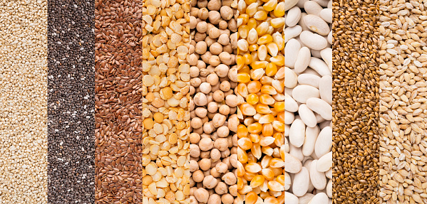 Lines with different types of grains and beans, top view