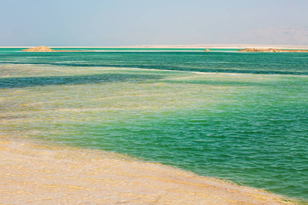 istock Beautiful coast of the Dead Sea . 1069997196