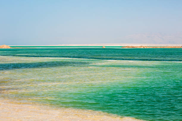 istock Beautiful coast of the Dead Sea . 1069997254