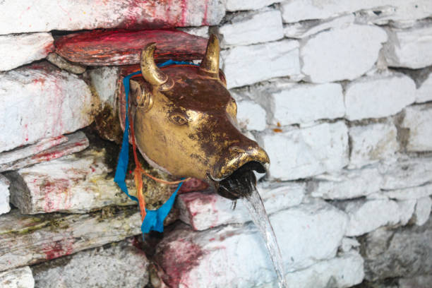 del tubo de dirección toro de la primavera sagrada en el sagrado templo de muktinath en región de annapurna - muktinath fotografías e imágenes de stock