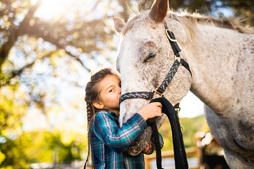 A beautiful Autumn season of a young girl and horse