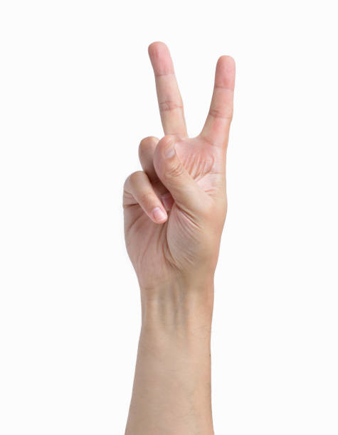 contar con los dedos - peace sign counting child human finger fotografías e imágenes de stock