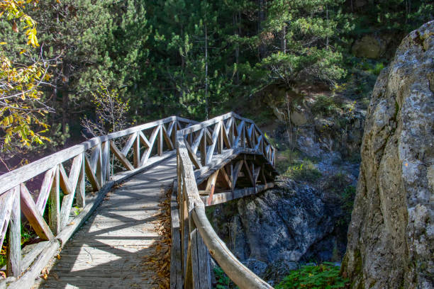 istock Wooden bridge over the river flowing between the stones and trees 1070008534