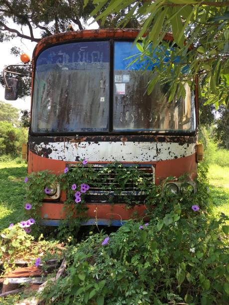 istock Bus wreck in the nature 1070009058