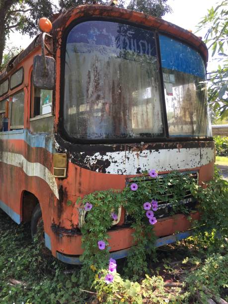 istock Bus wreck in the nature 1070009080