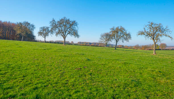 istock Rural hilly landscape in fall colors in sunlight in autumn 1070012494