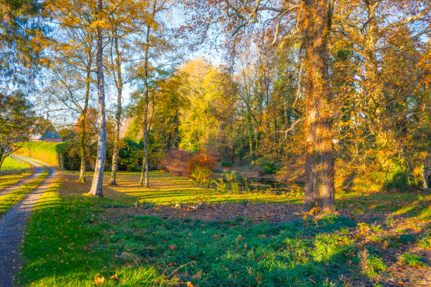 istock Rural hilly landscape in fall colors in sunlight in autumn 1070012608