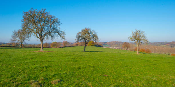 istock Rural hilly landscape in fall colors in sunlight in autumn 1070012656