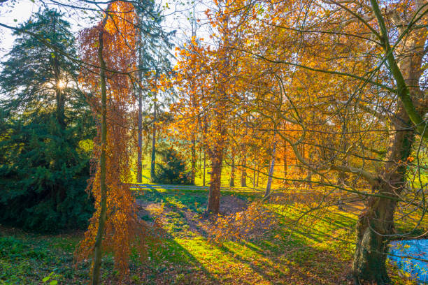 istock Rural hilly landscape in fall colors in sunlight in autumn 1070013212