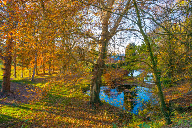 istock Rural hilly landscape in fall colors in sunlight in autumn 1070013758