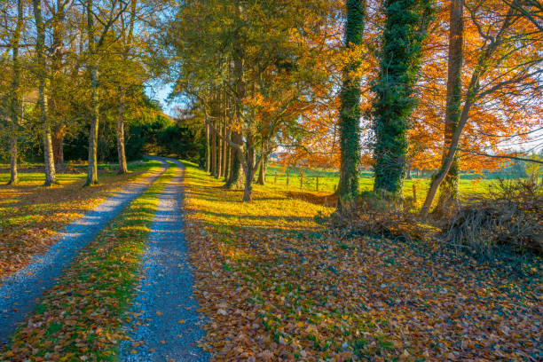 istock Rural hilly landscape in fall colors in sunlight in autumn 1070014874