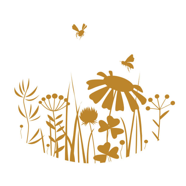 vintage karta miodu z pszczołami i kwiatami sylwetki - bee flower meadow flying stock illustrations