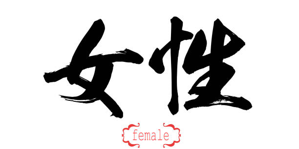 istock Calligraphy word of female in white background 1070016598