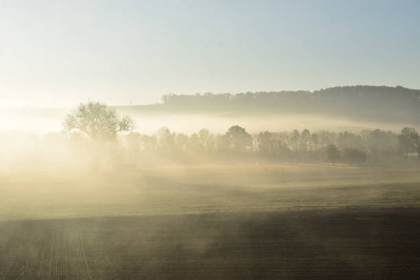 istock sun through fog in swampland 1070024952