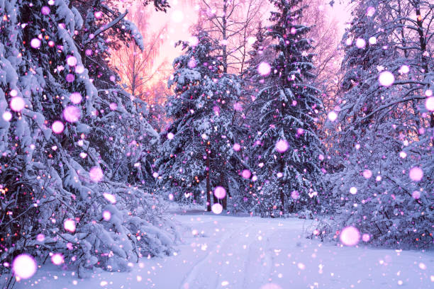 istock winter landscape with forest, trees and sunrise 1070025782