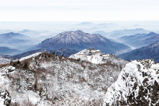 Beautiful Sangrime from Deokyusan