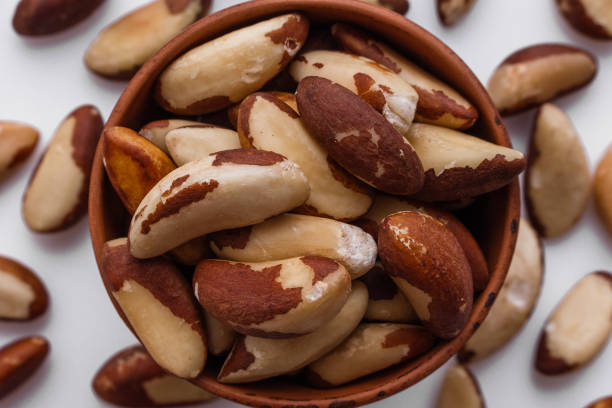 istock brazil nut on a white acrylic background 1070027724