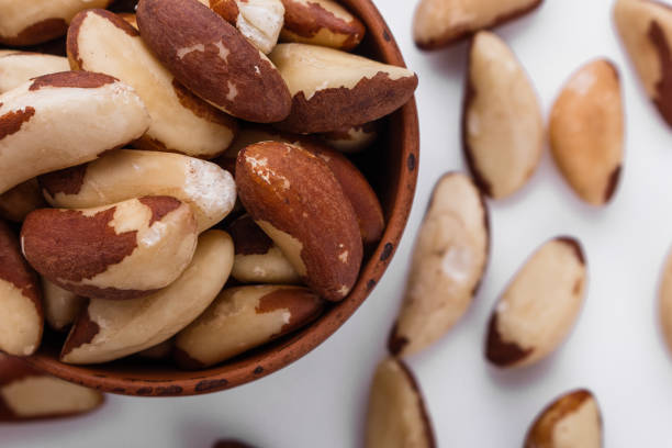 istock brazil nut on a white acrylic background 1070027772