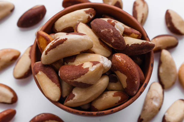 istock brazil nut on a white acrylic background 1070027778